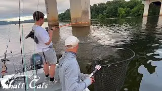The BIG CATFISH Were Under This Bridge (Hot Bite!)