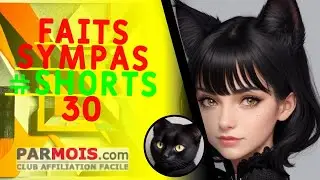 Faits Sympas 