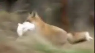 Ах ты блядь такая!