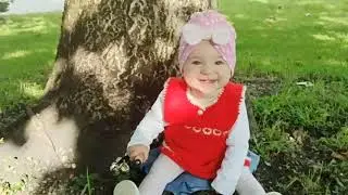 Лес кудрявый