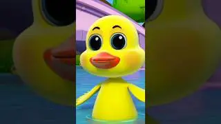 Five Little Ducks Went Swimming One Day #shorts #duck #nurseryrhymes #reels