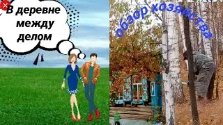 В деревне между делом... Обзор хозяйства.
