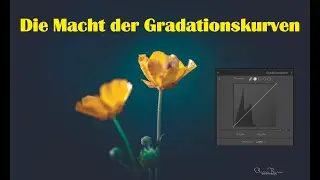Fotografie | die MACHT der Gradationskurven