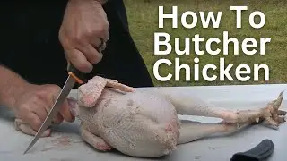 HOW TO Butcher A Chicken | QUICK & EASY!