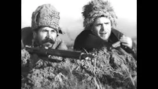 Граница -  Знамя цвета ночи