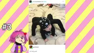More Randomness | Several Tumblr Posts in Less Than 4 Minutes ~ Episode 16