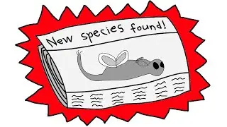 New Species Discovered 2024!!!