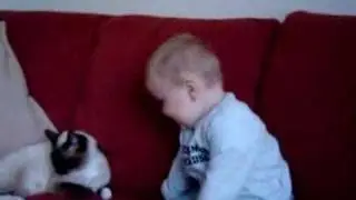 Danilo met Simba
