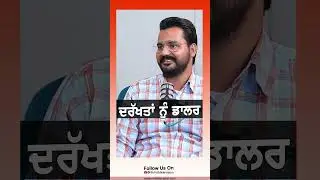 ਦਰੱਖਤਾਂ ਨੂੰ ਡਾਲਰ 