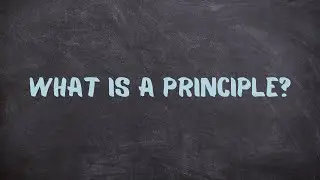 What is a principle?