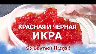 Камчатская рыба в Россоши