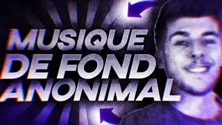 MUSIQUE DE FOND ANONIMAL 🎉