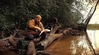 Рыбалка с Ночёвкой! Попал на Раздачу! Кто-то В Лесу! Жареная Рыбка!