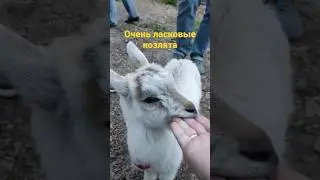 Very affectionate kids