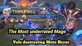 Vale Best Build 2020 Insane Damage - Insane CC - Top 1 Global Vale Build - Mobile Legends