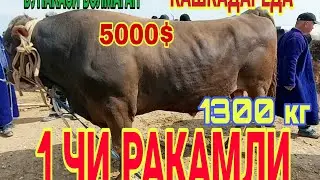 ЧИРОКЧИ ЧОРШАНБА МОЛ БОЗОРИ