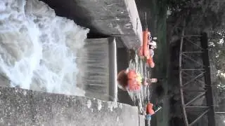 P1011187