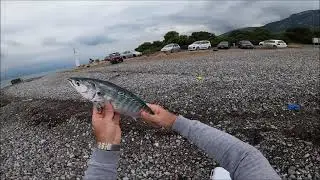Pëshkim fillim sezoni tonatove!😃