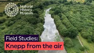 A view from the air: Knepp Rewilding Project | Field Studies