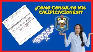 ¿Cómo consulto mis calificaciones?