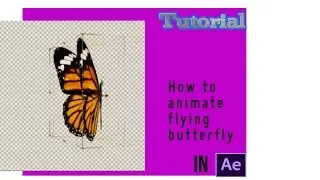 Adobe After Effects Animation How To Animate Flying Butterfly Tutorial 6