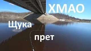Щука ЖРЁТ!!! Джигу-дрыгу