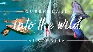 Into The Wild | Australia North Queensland