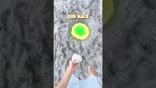 Me He Encontrado un PORTAL en la Playa! 🏝️
