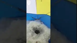 Отец впервые на омулевой рыбалке. Первая поклевка)