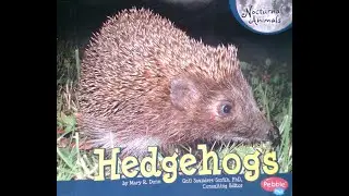 Hedgehogs Read Aloud