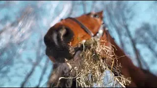 Центр компетенций