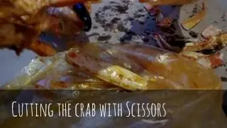 2 Min The Captain Boil Toronto | Seafood Lovers Place| Look Before Going
