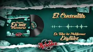 Los Nuevos Rebeldes – El Consentido (Audio Oficial)