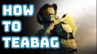 THE ULTIMATE GUIDE TO *PROPERLY* TEABAG IN HALO INFINITE