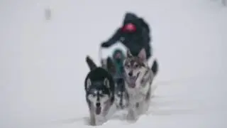 The Ipsoot Photography Glove - From Winter Pow to Husky Howl