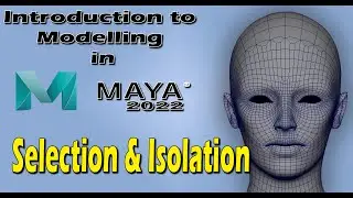 Introduction to Modelling in Maya • Selection & Isolation