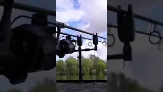 Run! 🚨🎣