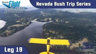 Microsoft Flight Simulator 2020 - Nevada Bush Trip - Leg 19