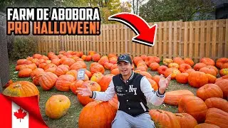 Fazenda de Abóbora OUTONO CANADÁ!!!🇨🇦🍁
