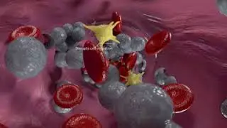 Empathetic Media Health MoA Showreel