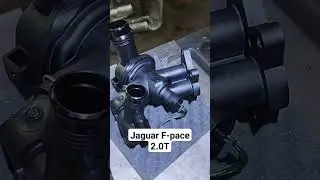 замена помпы и корпуса термостата на Jaguar F-pace 2.0t