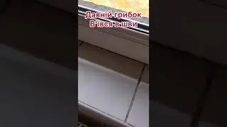 29 августа 2019 г.