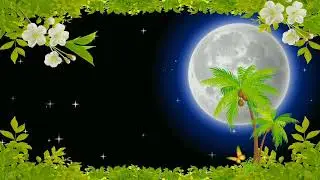 Moon light effect background | Star effect | Flower effect black screen(star video effect) 