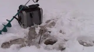 сщас сщас клюнет