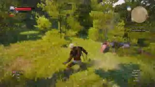 Witcher 3