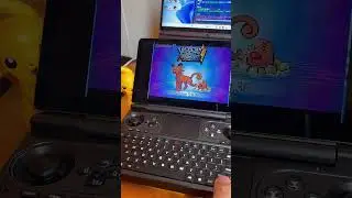Squirtle+Squirtle=4xNinja Turtles?