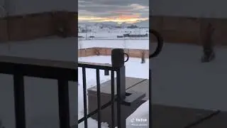 vertigo effect TikTok @lucey.goosey  [Tik Tok Archives]