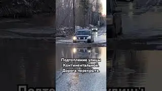 Паводок 2024 Томск. Континентальная улица, южные ворота
