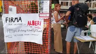 Alberi in 