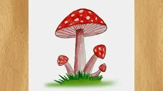 Draw a Mushroom I Mushroom Drawing Tutorial